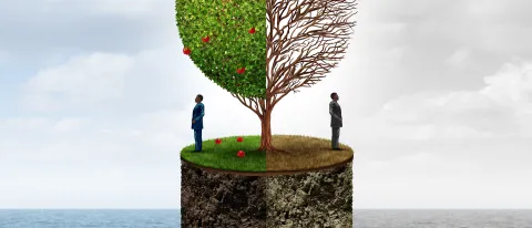 Composite image of a tree, one half bright and green and other half dying