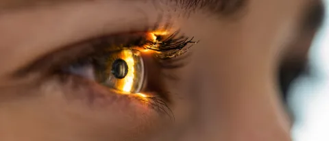 Image of an eye, illuminated by sunlight