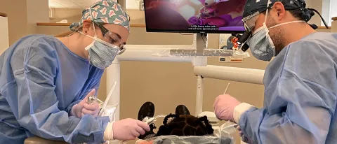 Dental students perform cleanings for children at the Oral Health Center's dental clinic