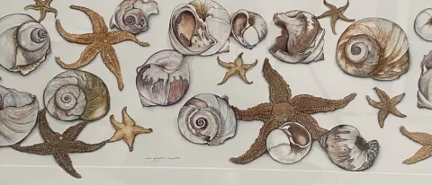 A painting of multiple starfish and sea snails