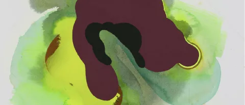 Brain scan images 