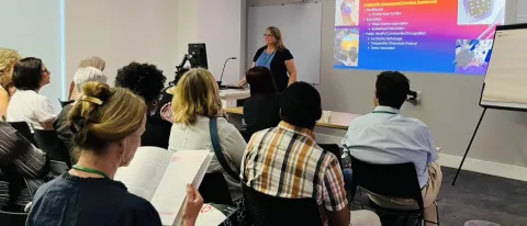Sally McCormack Tutt lecturing in front of other interprofessional colleagues 