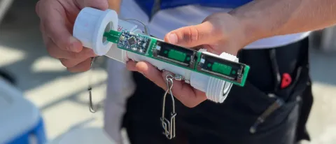 Bycatch Reduction Device