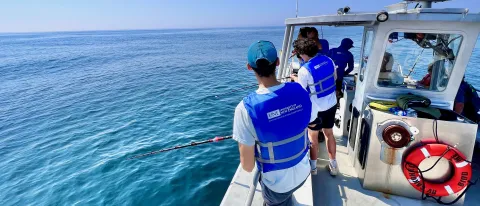 Shark bycatch reduction research