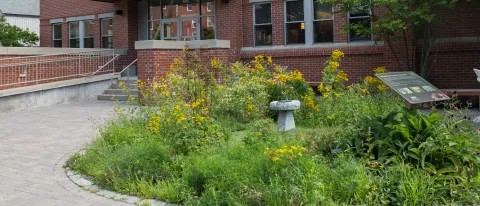 Exterior of the Pharmacy building on UNE's Portland Campus