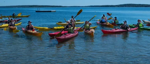 Several students paddle individual kayaks