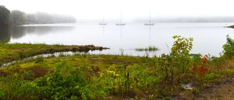 The shoreline of the Saco River with sailboats visible 