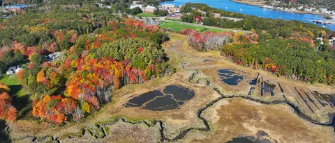 An aerial view of salt marshes in Biddeford Pool