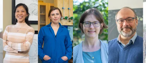 A composite image of six faculty portraits