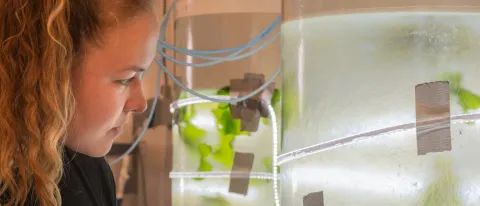 student in marine science lab