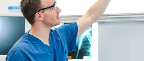 A medical student examines an x-ray