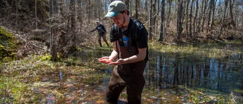 Alex Woodworth Vernal Pools