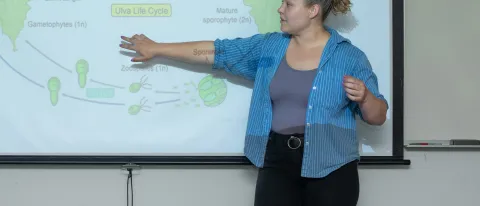 A UNE student presents a slideshow to a room of people