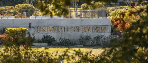 A stone sign bearing the name "University of New England" is seen through the trees