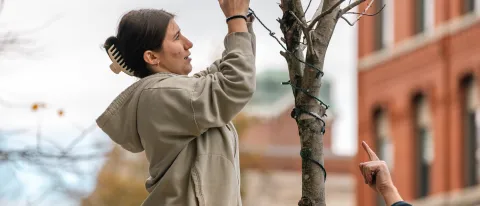 UNE students help decorate downtown Biddeford for the holidays.