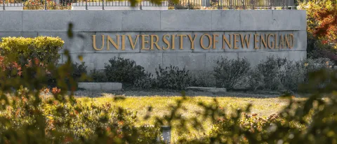A stone sign bearing the name "University of New England" is seen through the trees