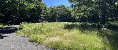 Kennebunkport Conservation Trust Meadwoods Trail