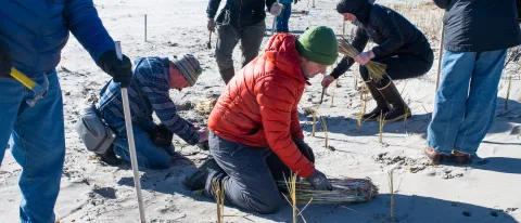 UNE students aid Biddeford Pool Conservation Trust in coastal restoration effort     