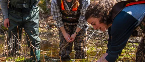 Environmental studies students search for eggs in UNE's vernal pools