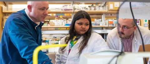 Researchers examine data in the Portland Laboratory for Biotechnology and Health Sciences