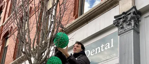UNE students hang lights to provide holiday cheer in downtown Biddeford 
