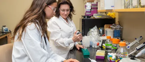 Barlow and a student researcher work together at a lab bench, preparing samples with pipettes and sample storage boxes.