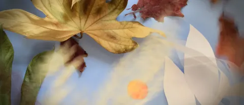 UNE Art Gallery exhibit honors experience of death and loss starting March 6