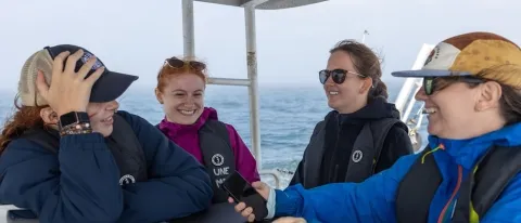 UNE researcher fills gap in Gulf of Maine harbor porpoise data