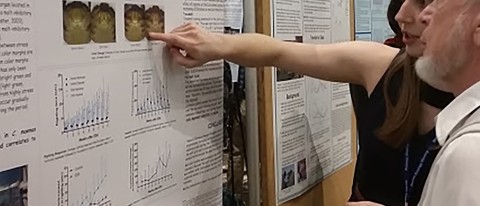 Gwen Pelletier presents her research