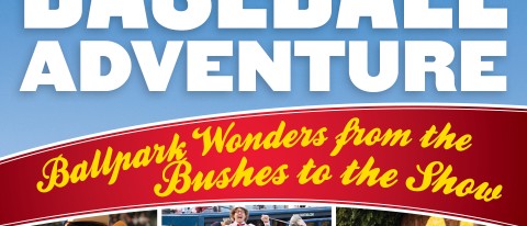 Cover of The Amazing Baseball Adventure