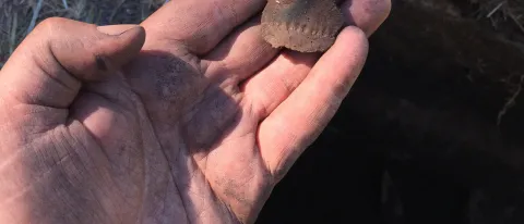 Prehistoric ceramic fragment excavated by UNE students