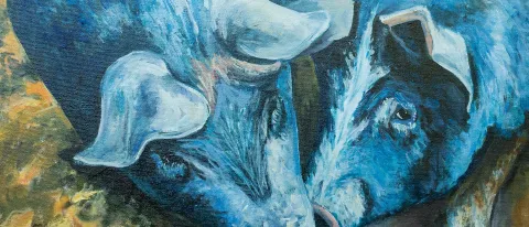 "Pigs" by Art Schaefer