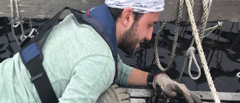 UNE graduate student Connor Jones gathers up mussels to take back to the Marine Science Center for research