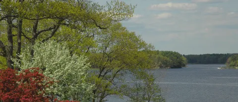 Biddeford Campus