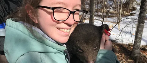Students in Noah Perlut's Terrestrial Wildlife Lab recently visited a bear den in Downeast Maine