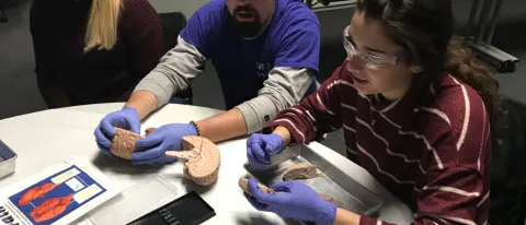 CEN K-12 Outreach coordinator Michael D’Apice works with Biddeford High School students at the Brain Bee