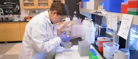 Graduate student Virginia McLane led the study
