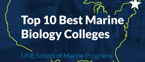 Graphic for Biology Explorer's Top Ten Marine Biology Colleges