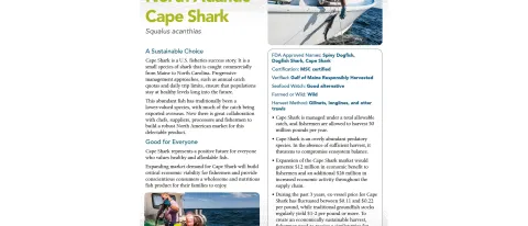 Dogfish flyer