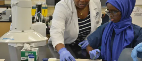 UNE pharmacy student shows a Lewiston High School student how a pharmaceutical dental compound would be made. 
