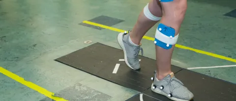 UNE researchers are learning about the connection between pelvic floor muscle function and control of lower limbs. 