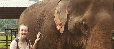 Senior Erin Viens at Elephant Nature Park in Thailand