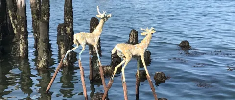 Andy Rosen recently unveiled his public art display TREAD next to Ocean Gateway in Portland
