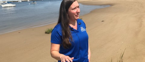 Alicia Williams discusses recent seal deaths with WGME and WMTW