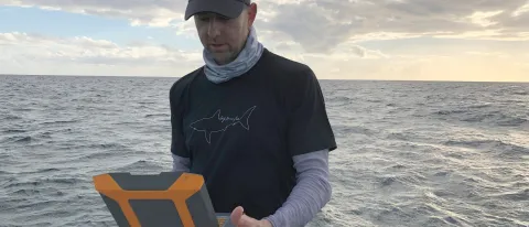 James Sulikowski is using trackers called Birth-Tags to learn where sharks give birth