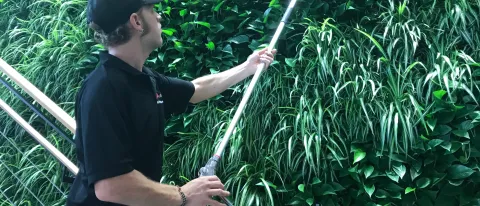 Jeff Ruby-Pinkham of Plantwerks tends to UNE's living wall