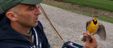 Noah Perlut holding a meandowlark