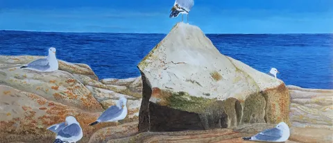  “Six on the Rocks” by Sandra Tardo-Long