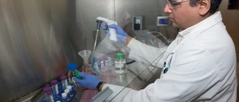 UNE's Srinidi Mohan is issued a patent for his breast cancer detection and monitoring method