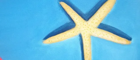 "Starfish" by Phuong Lu